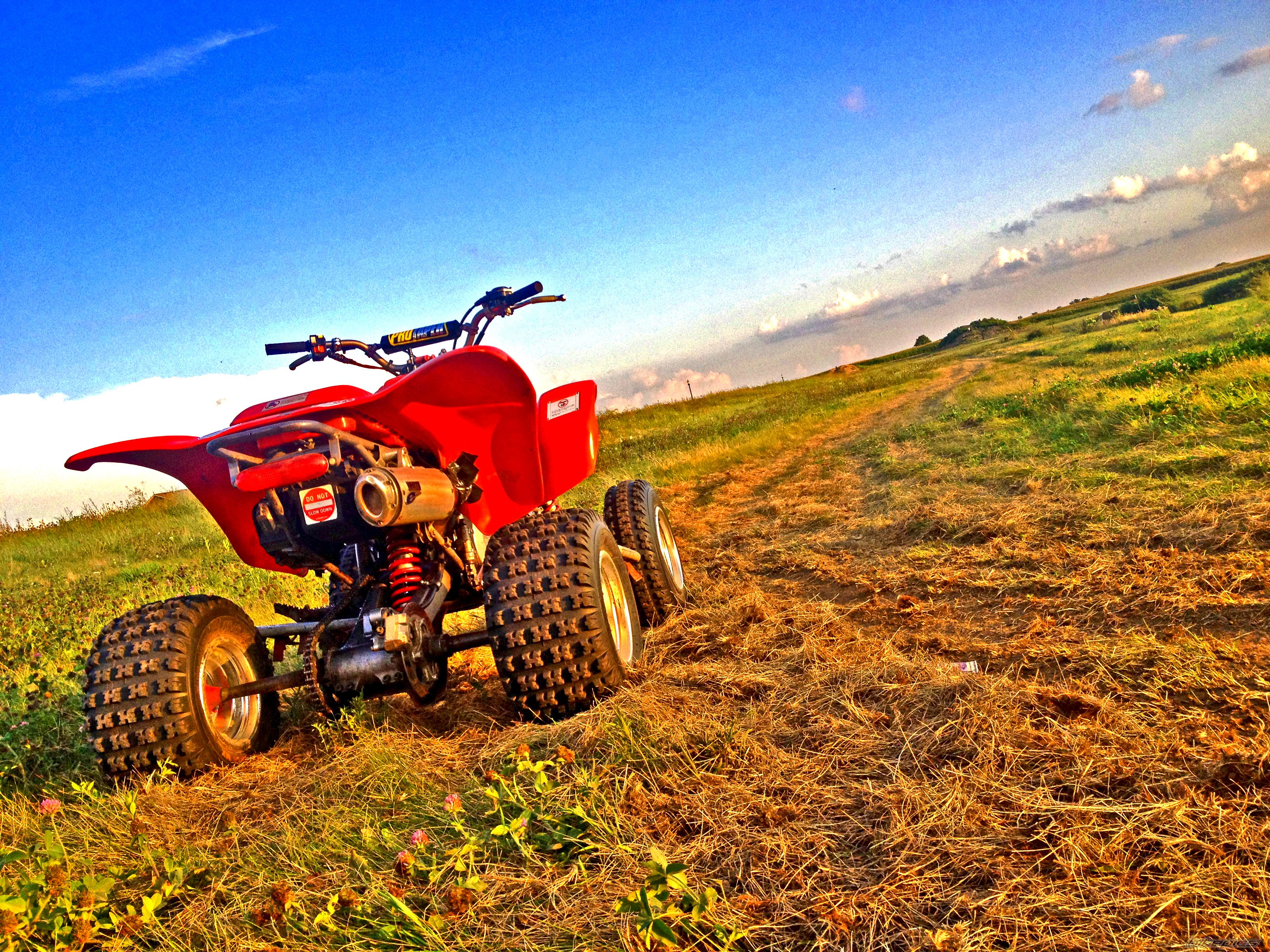 Photo 2690755