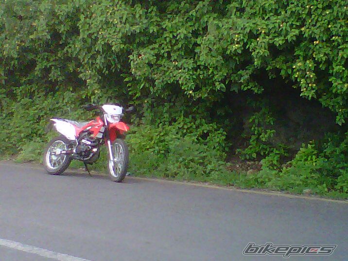 Photo 2691122