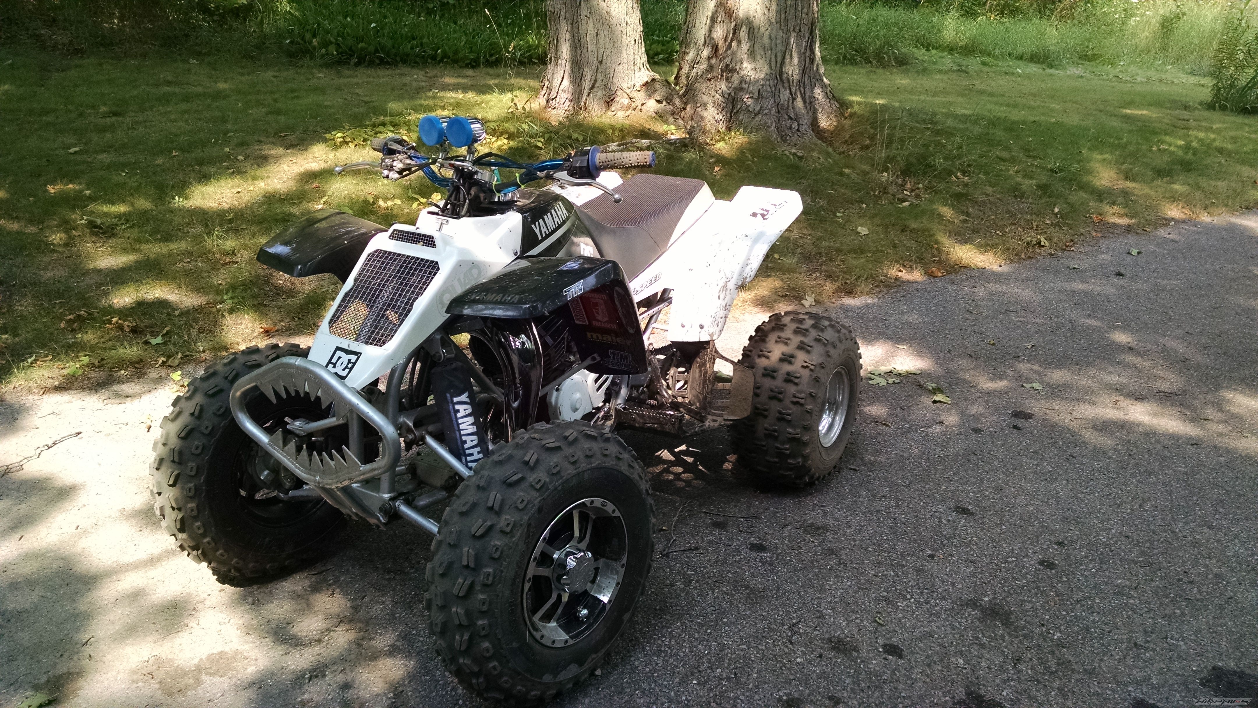 Photo 2691141
