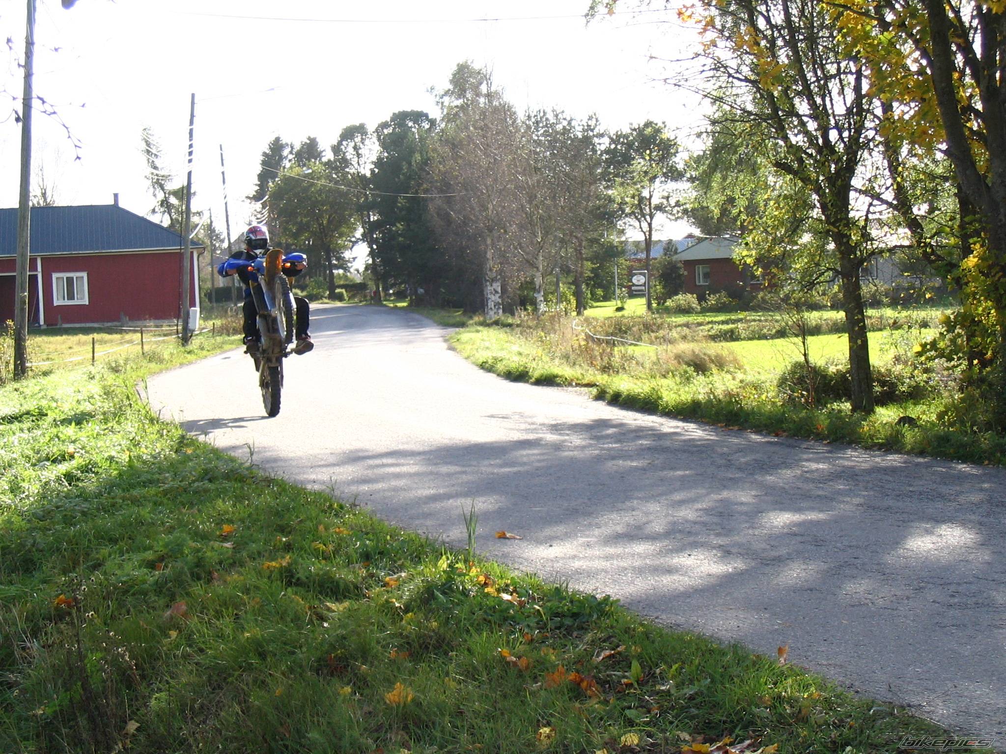 Photo 269125