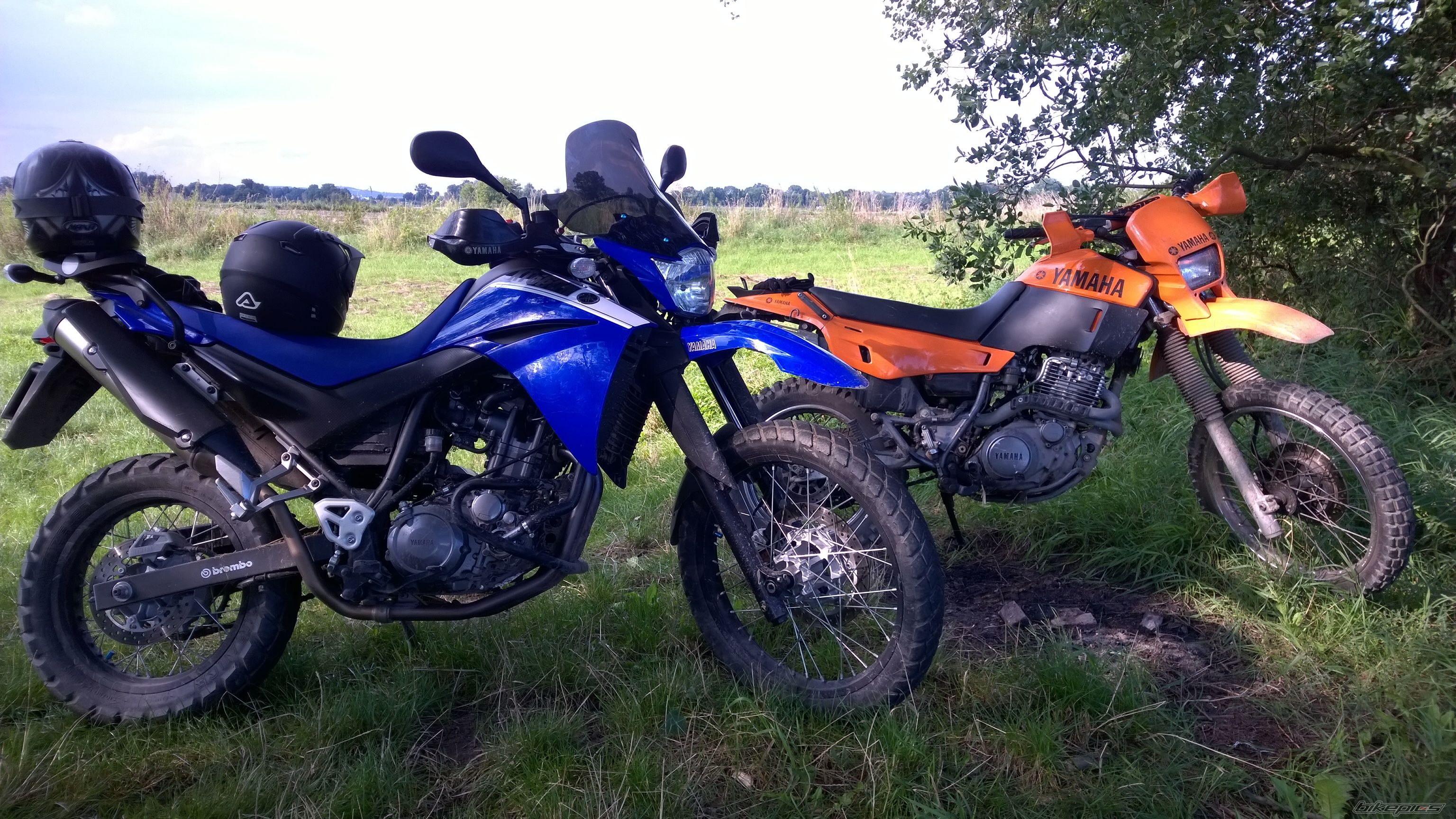 Photo 2691298