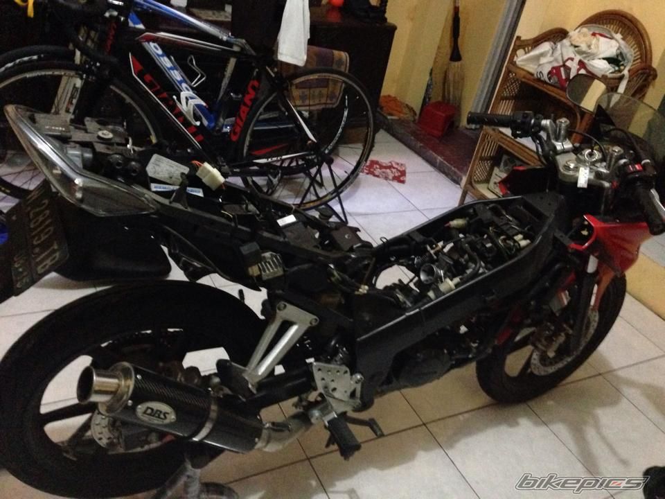 Photo 2691578