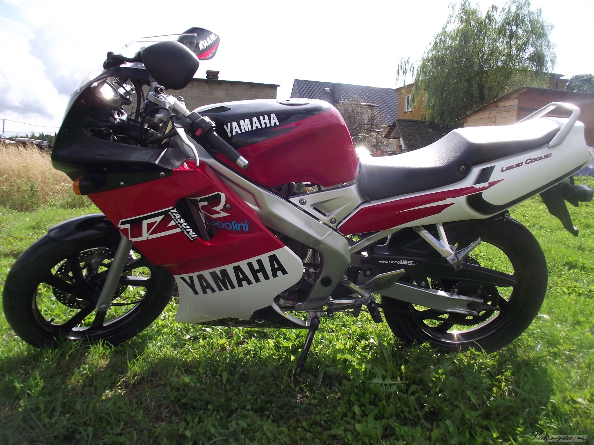 Photo 2691655