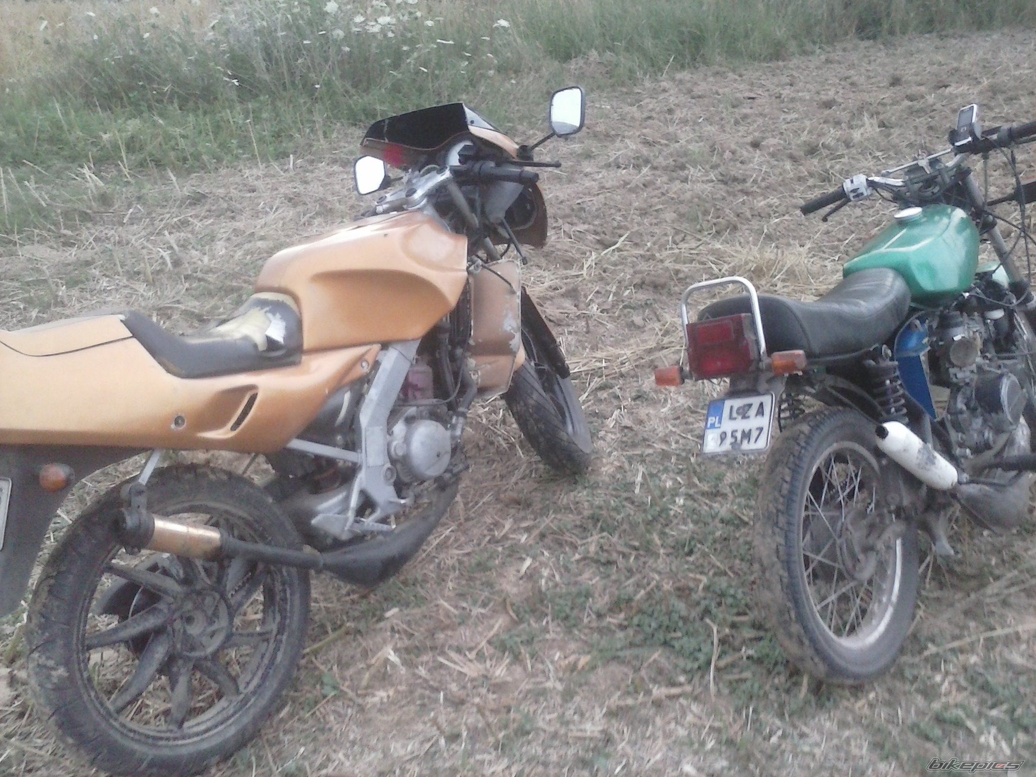 Photo 2691673