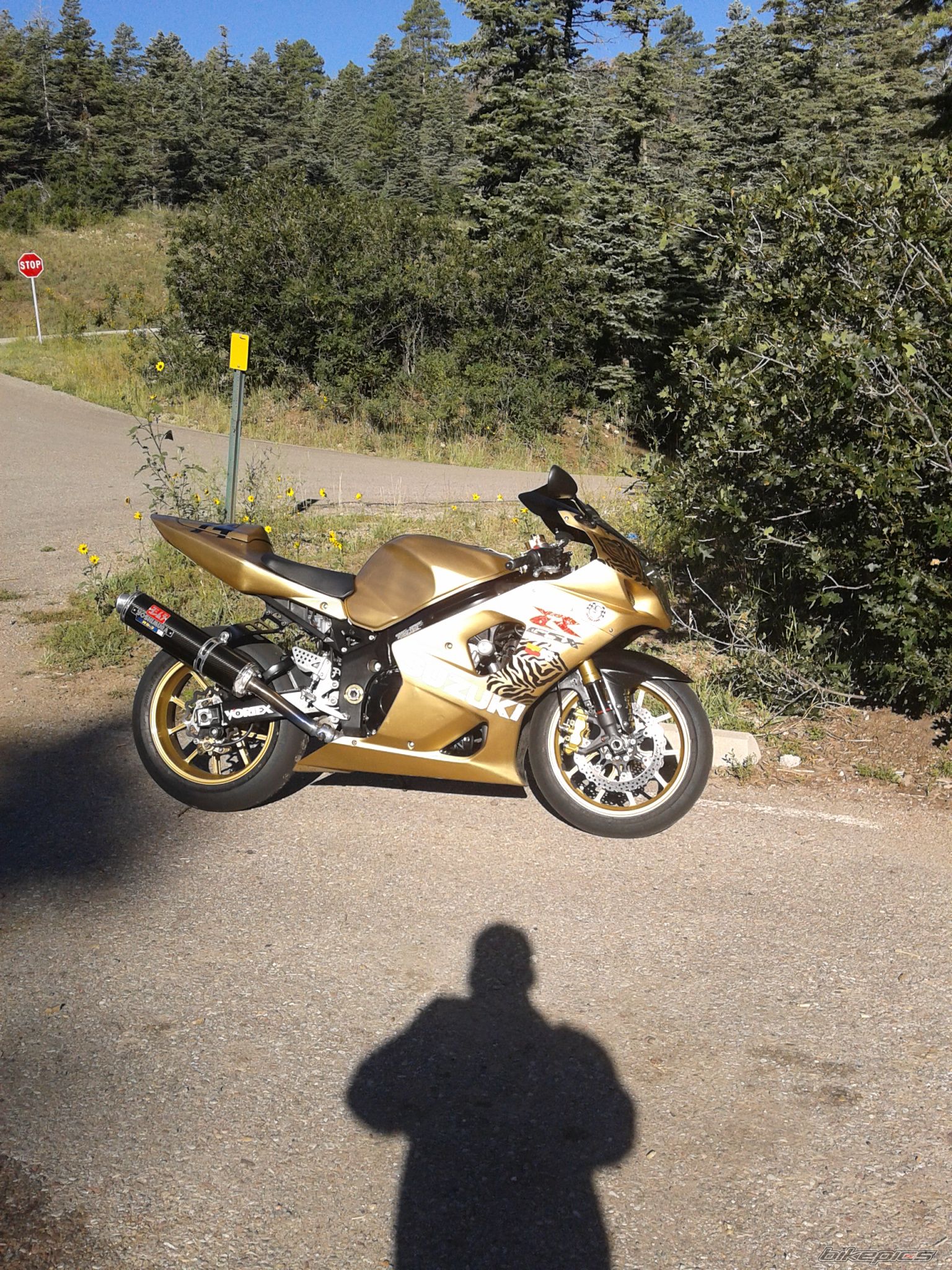 Photo 2691715