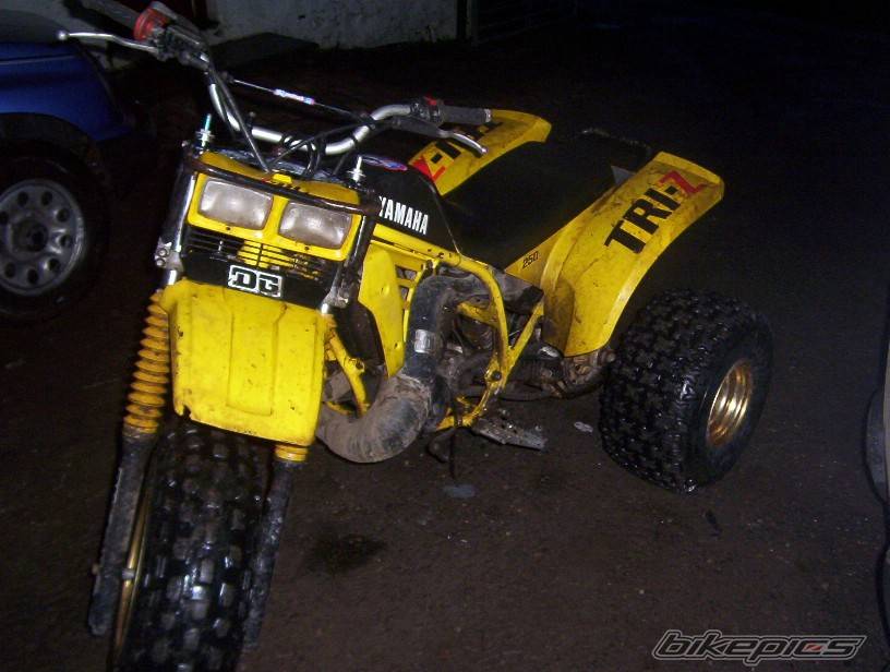 Photo 269201
