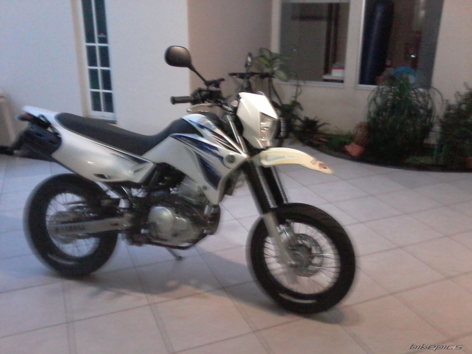 Photo 2692035