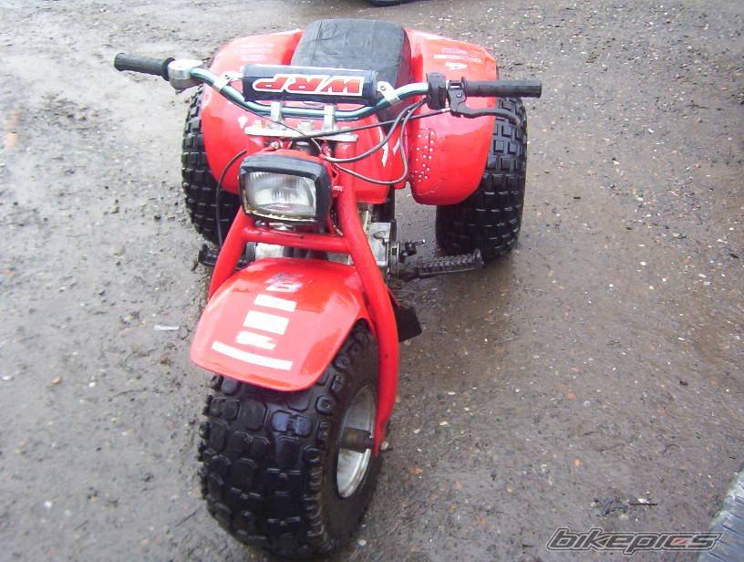 Photo 269208