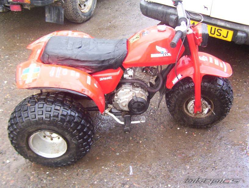Photo 269212