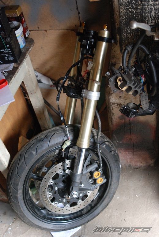 Photo 2692224