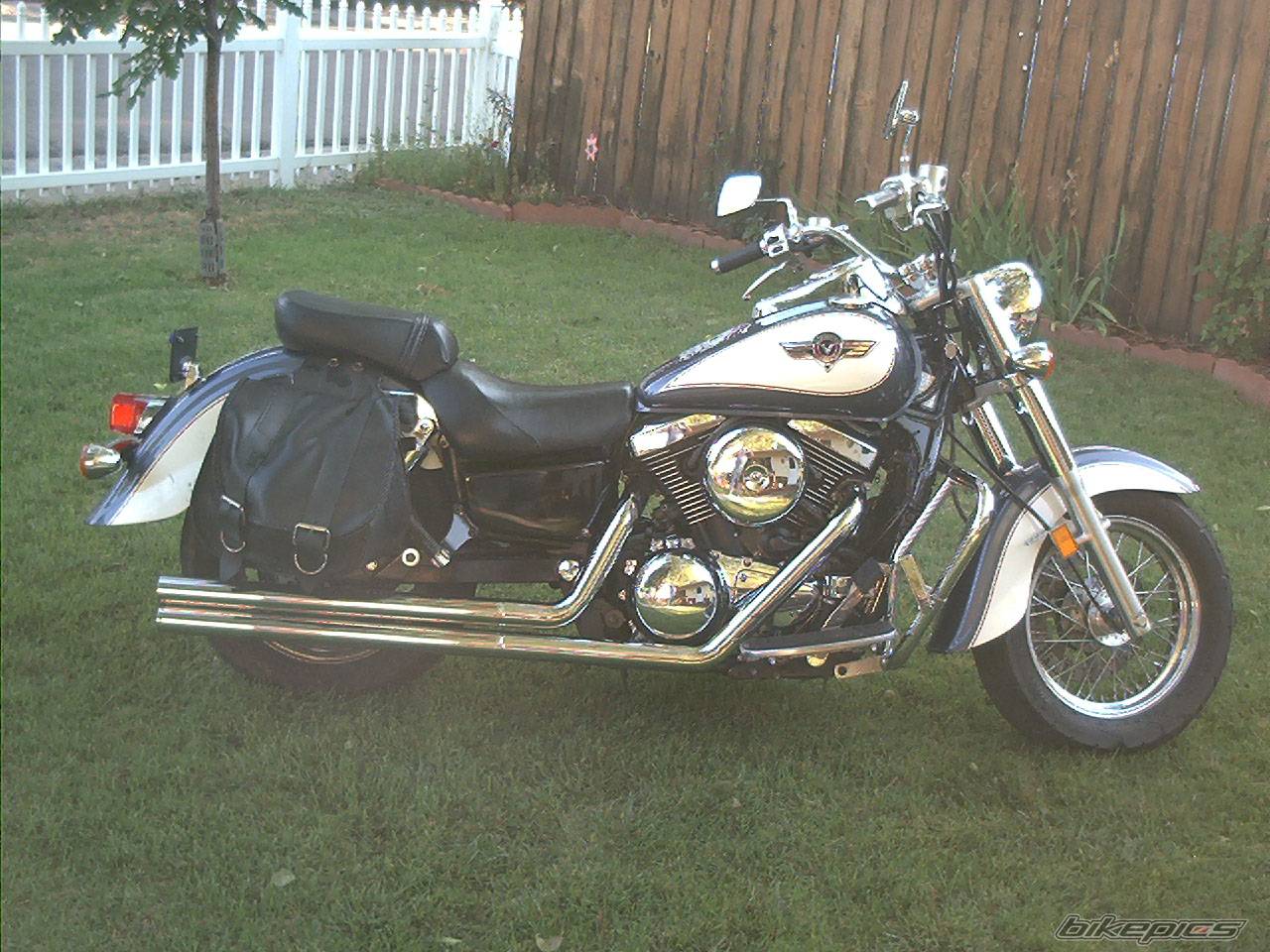 Photo 269225