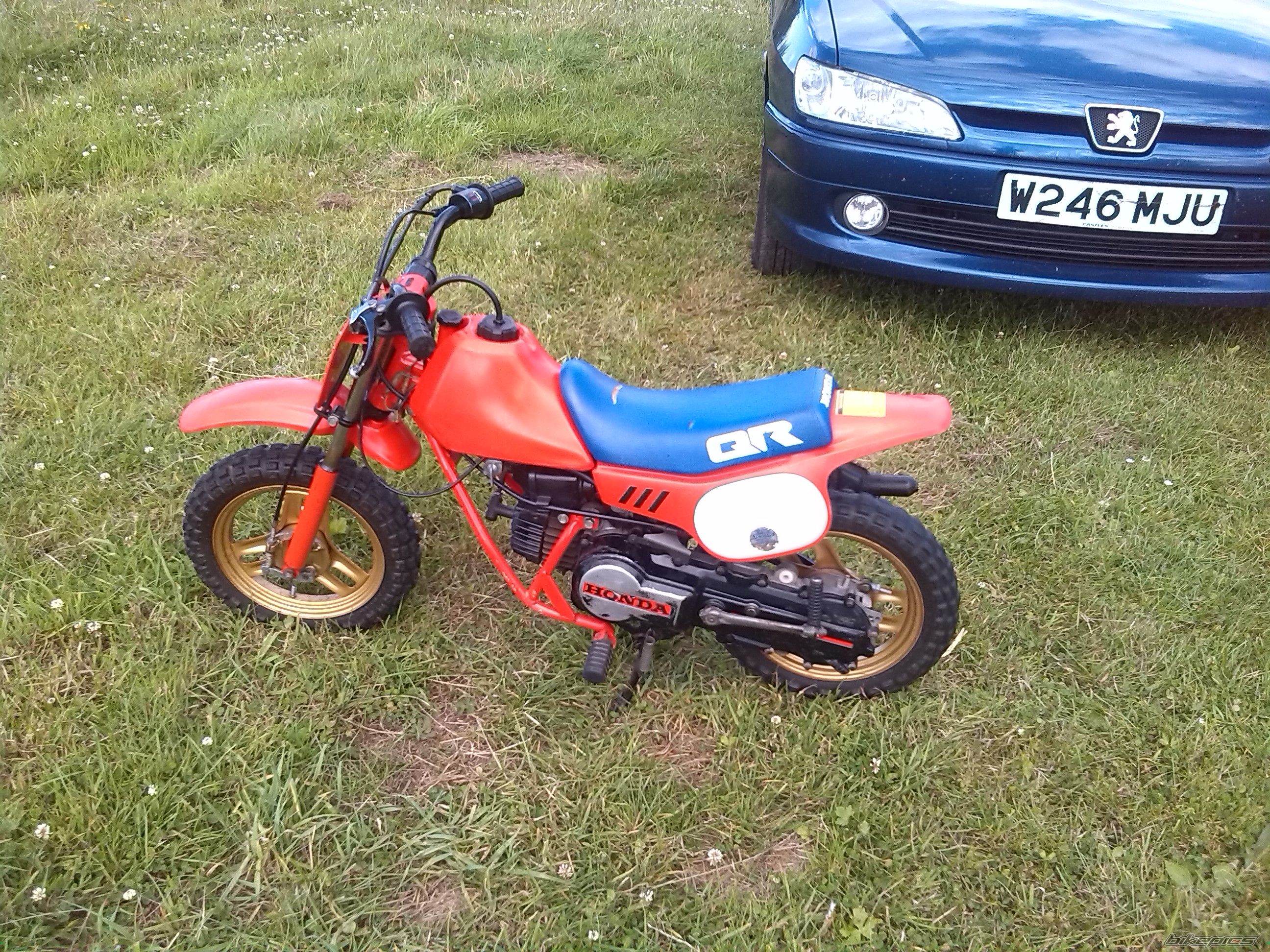 Photo 2692272