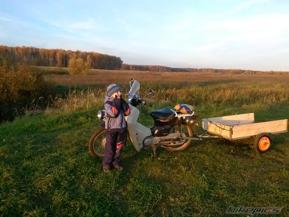 Super Cub 50