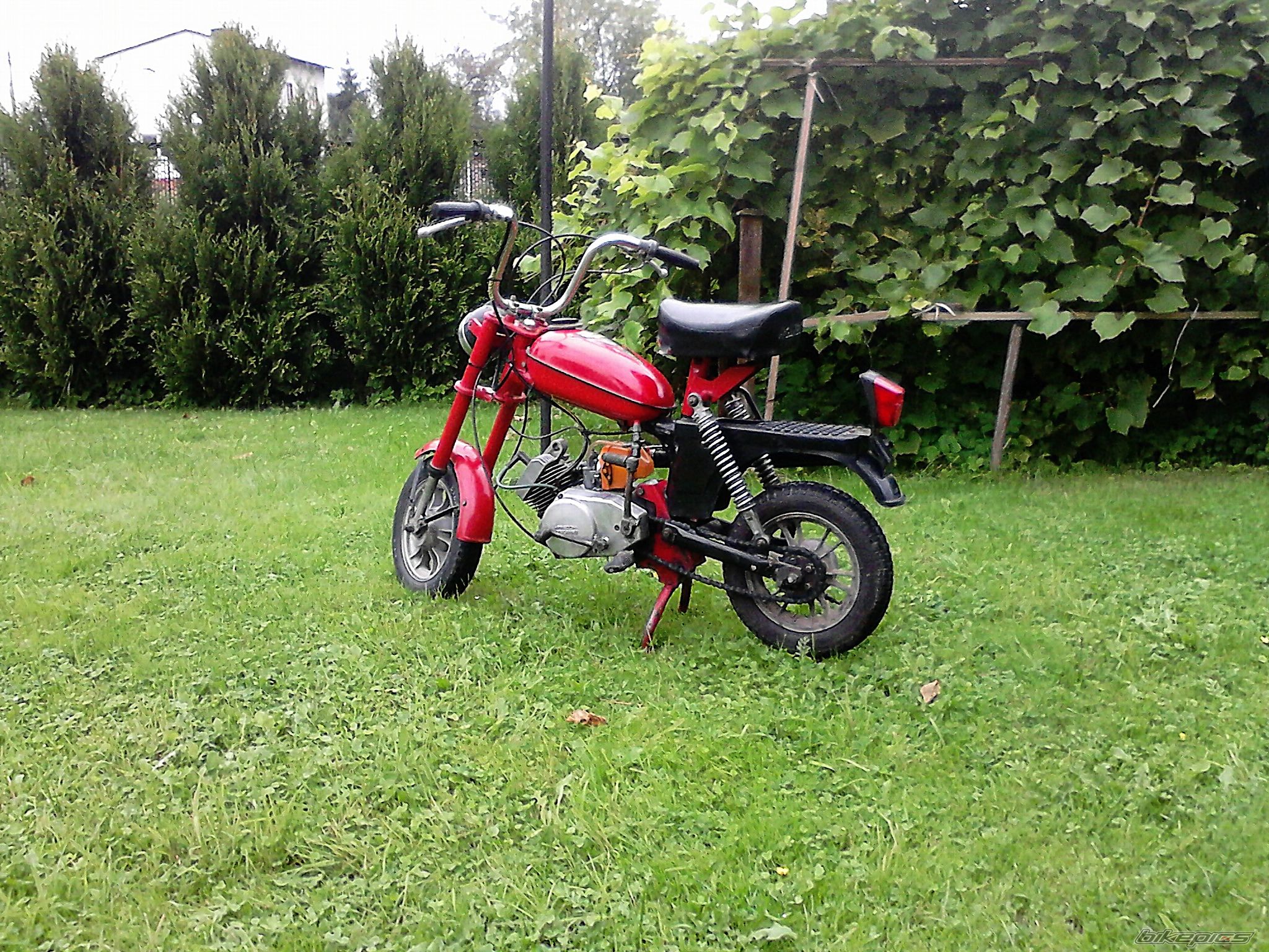 Photo 2692452