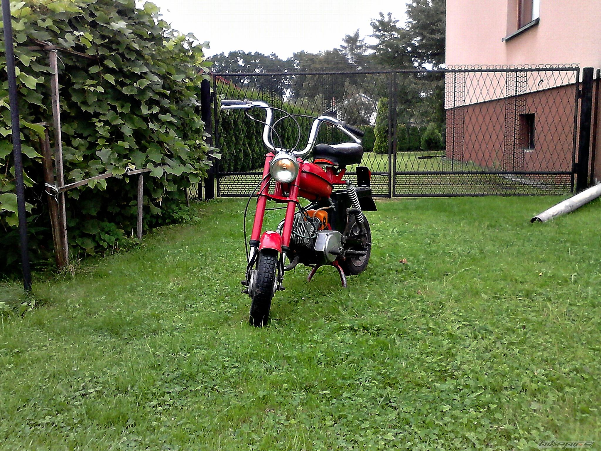Photo 2692454
