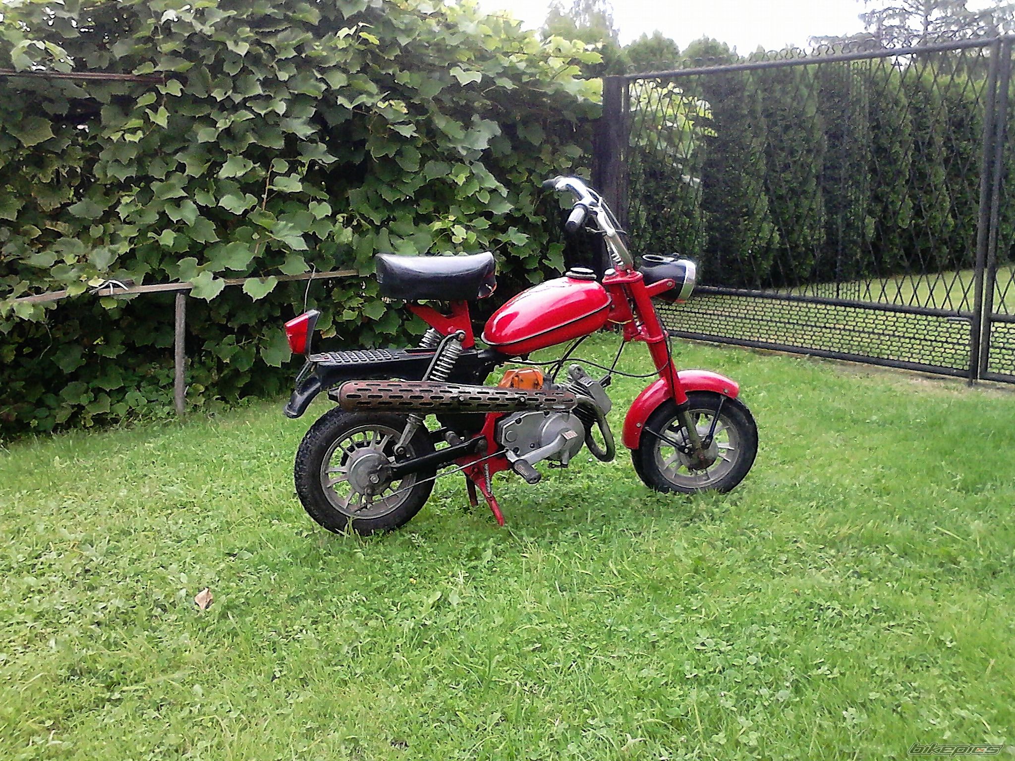 Photo 2692455