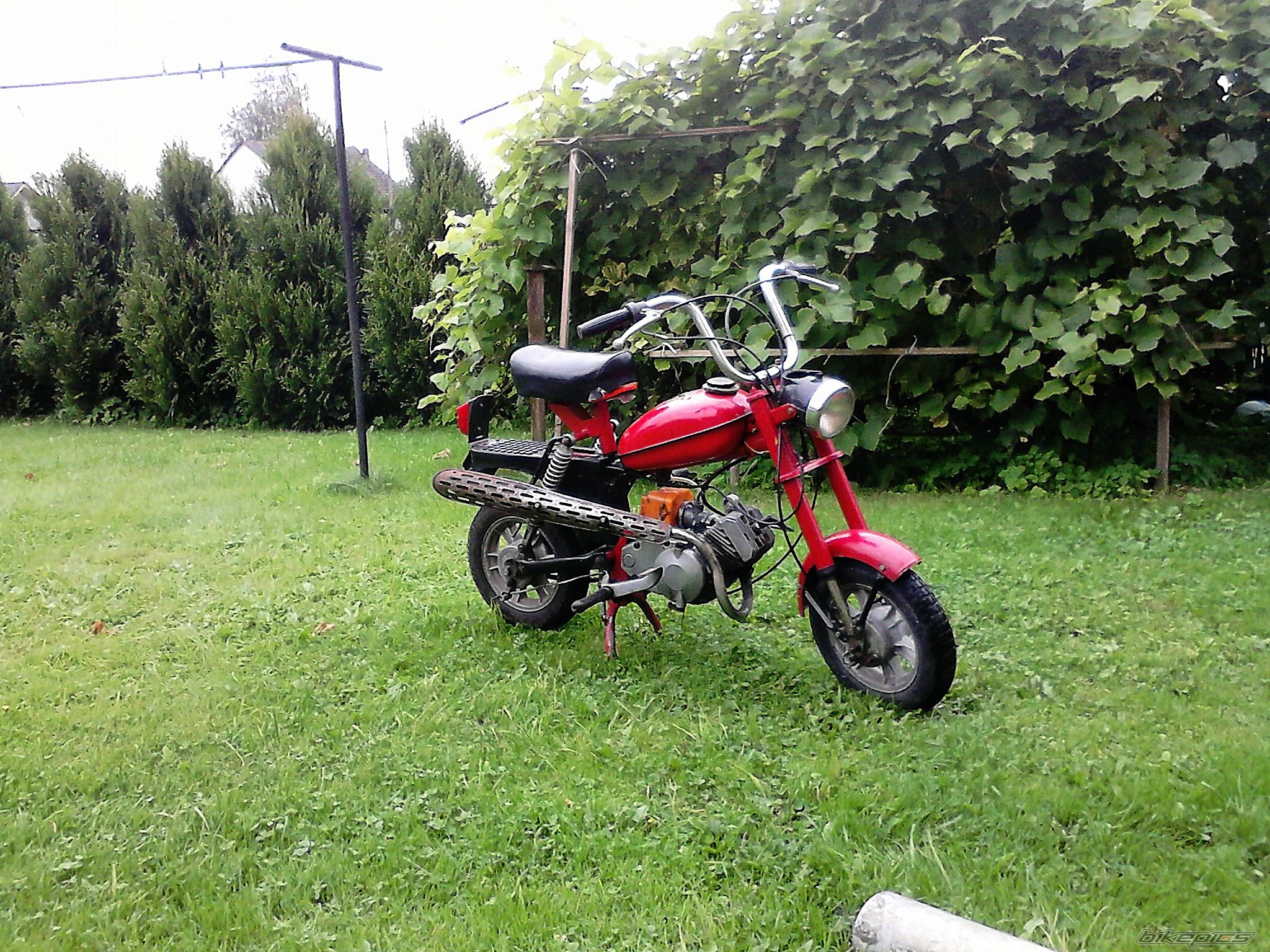Photo 2692457