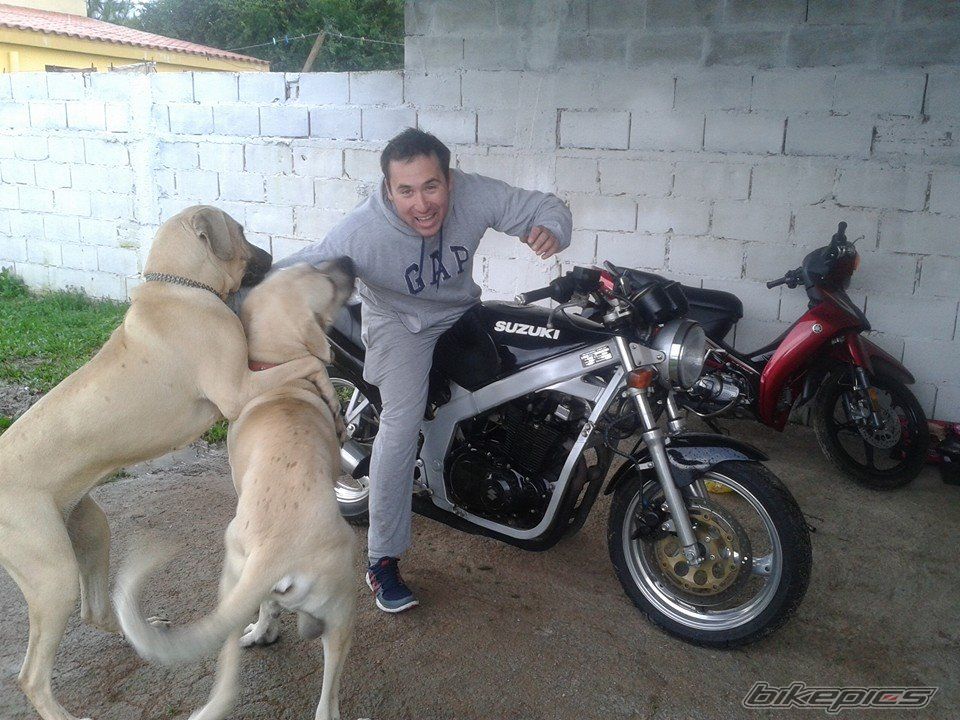 Photo 2692669