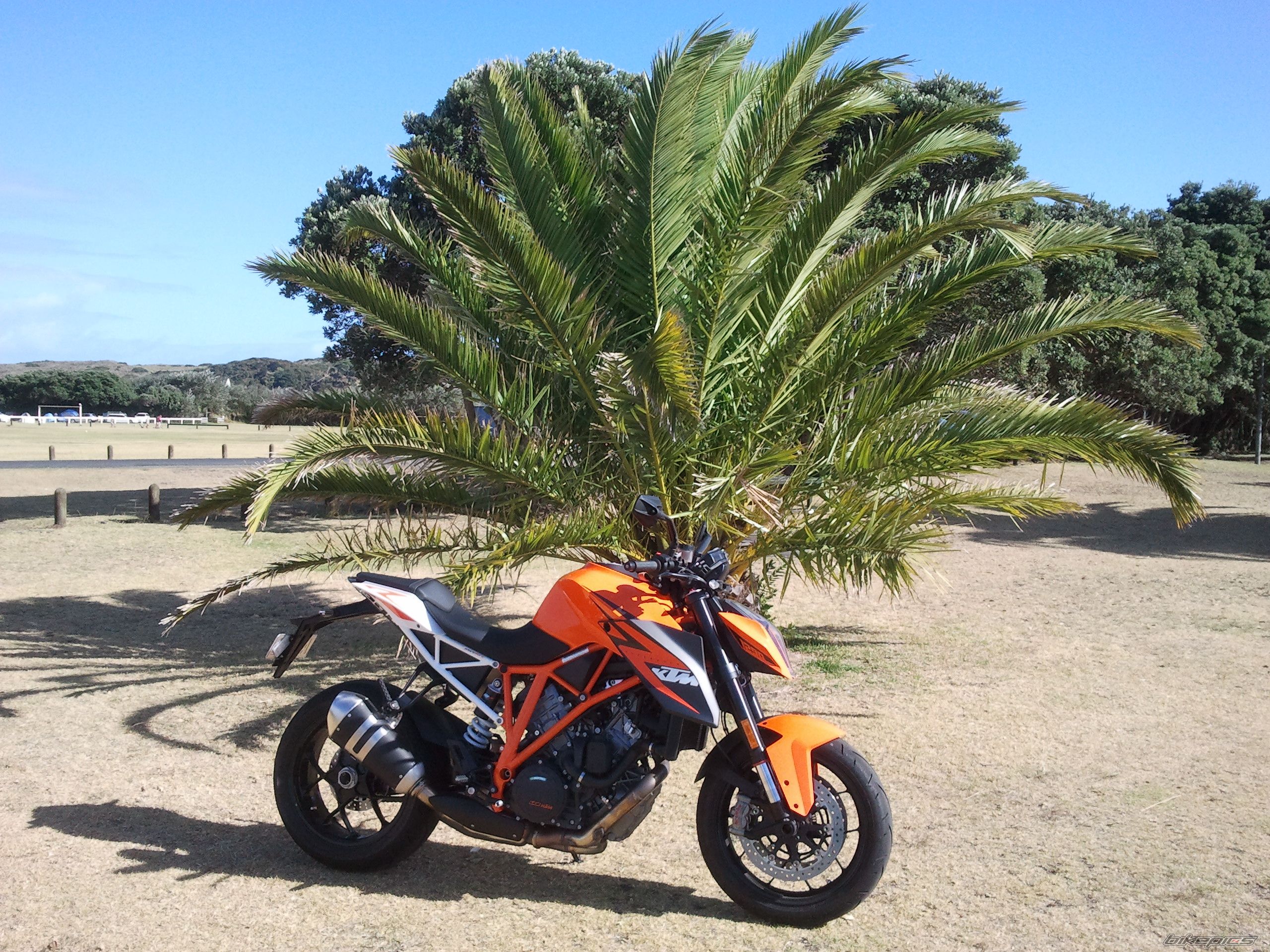 Photo 2692681