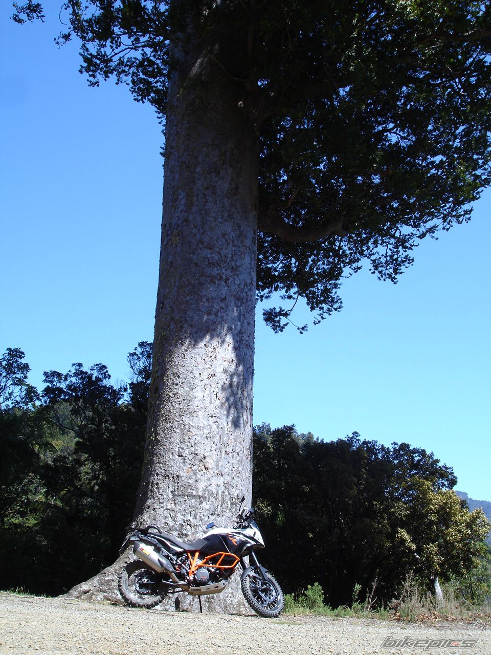 Photo 2692687