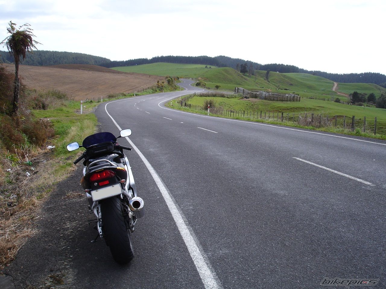Photo 2692702