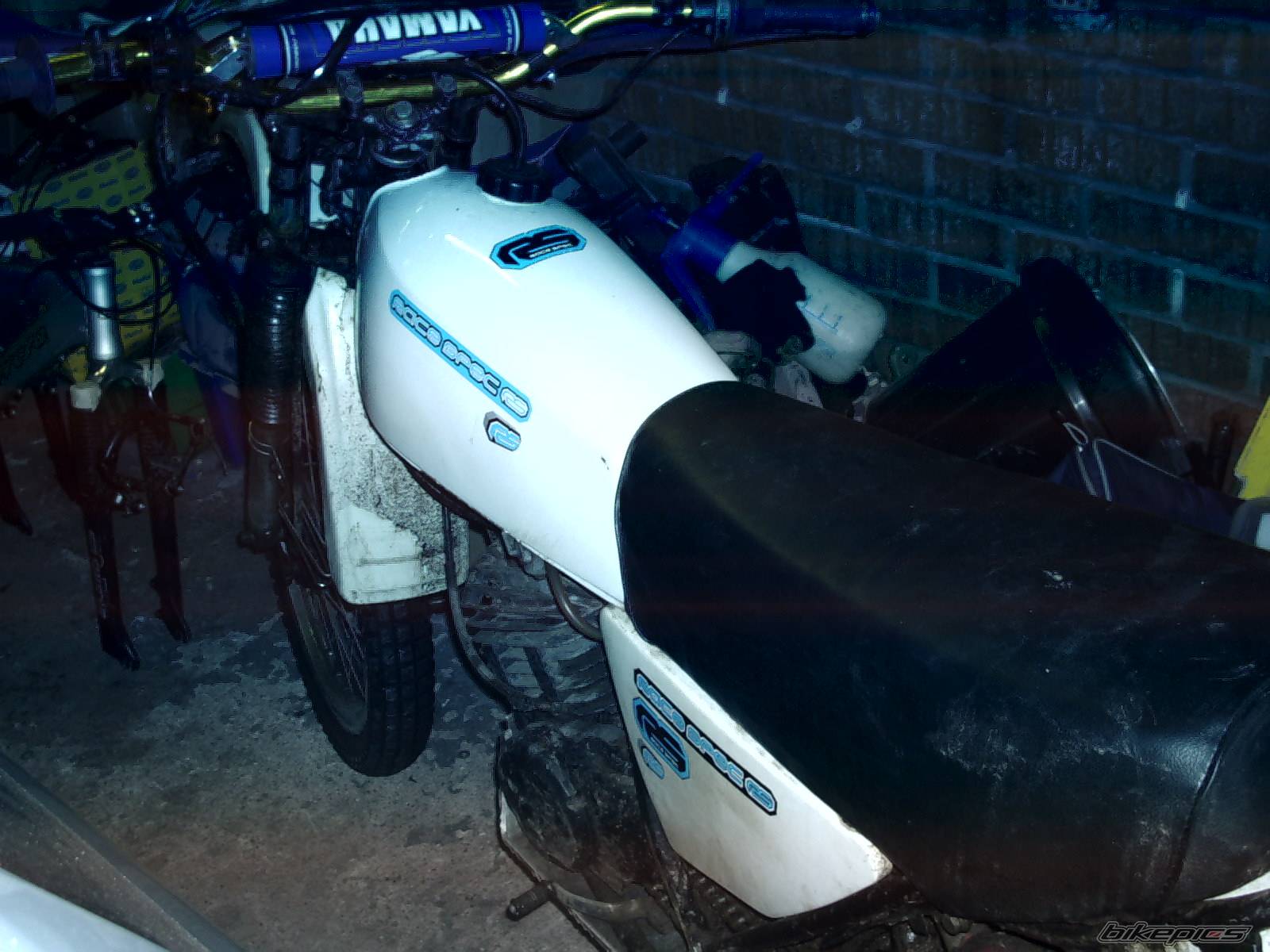 Photo 269279