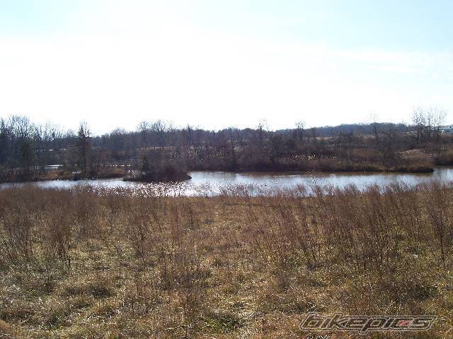 Photo 269287