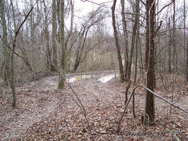 Photo 269289