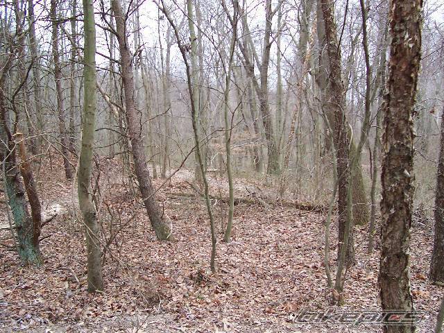 Photo 269290
