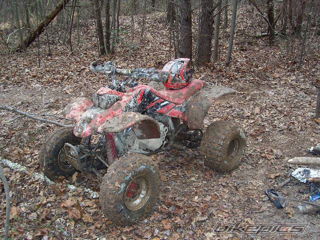 Photo 269293