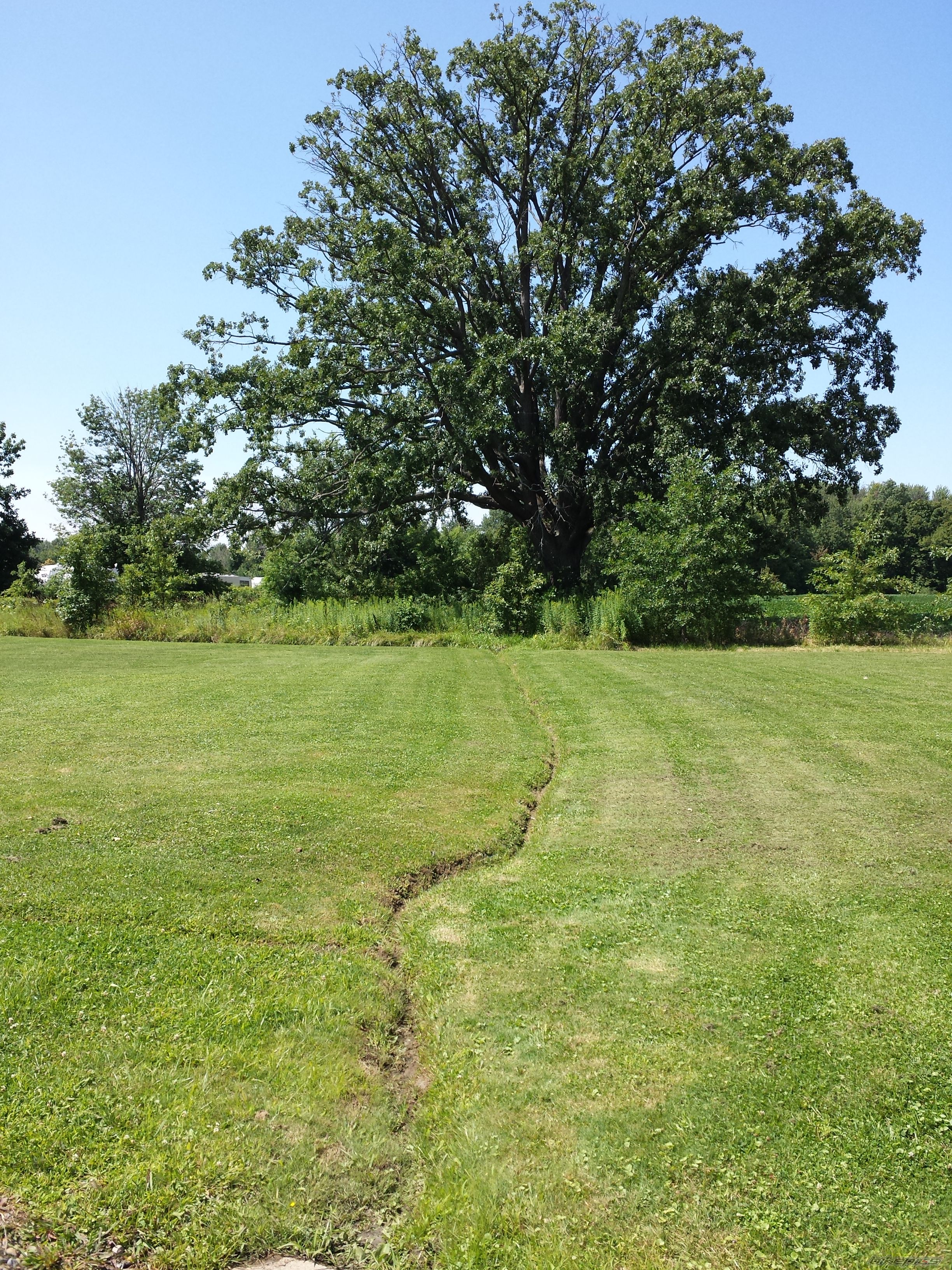 Photo 2692993