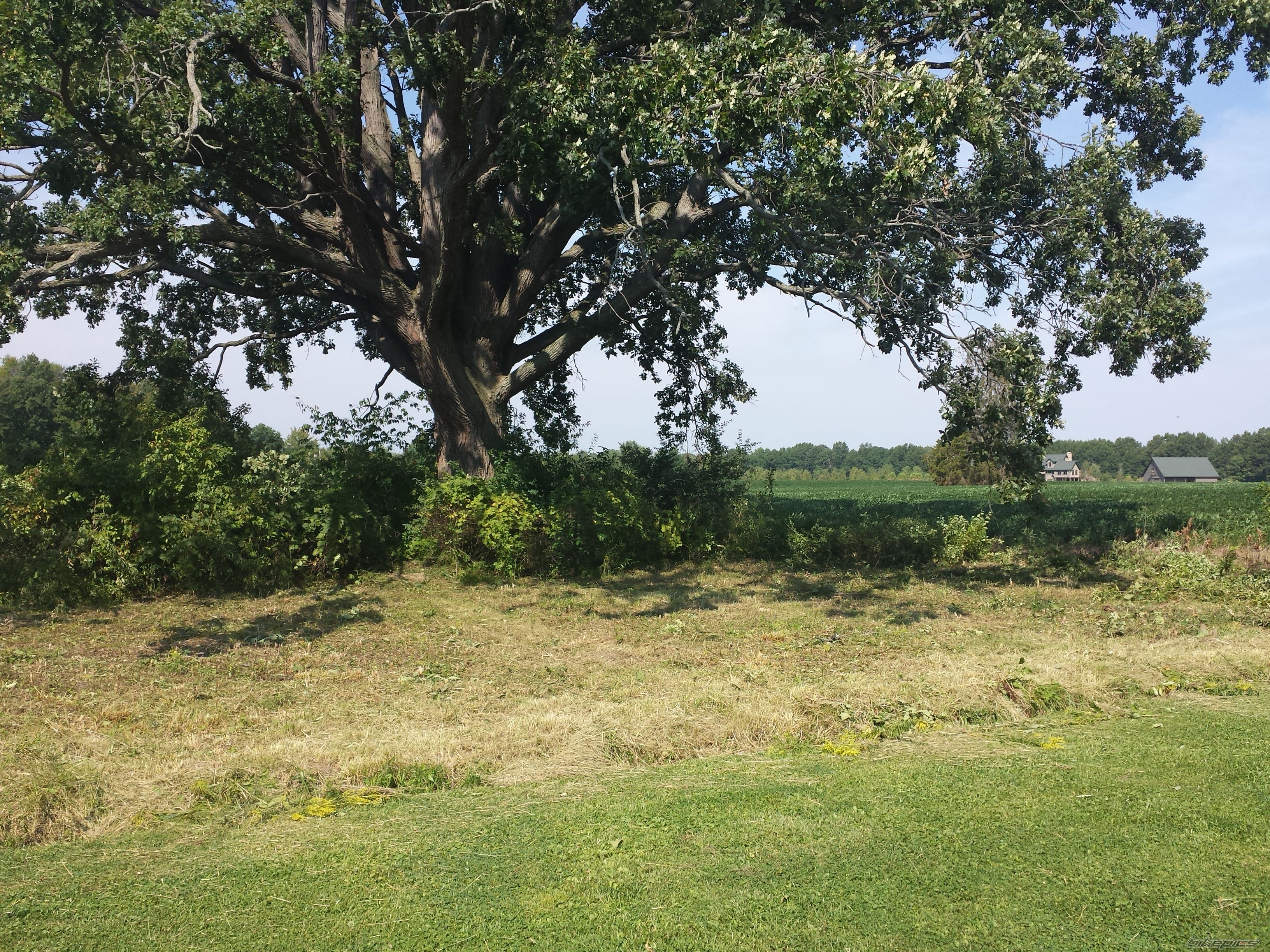 Photo 2692995