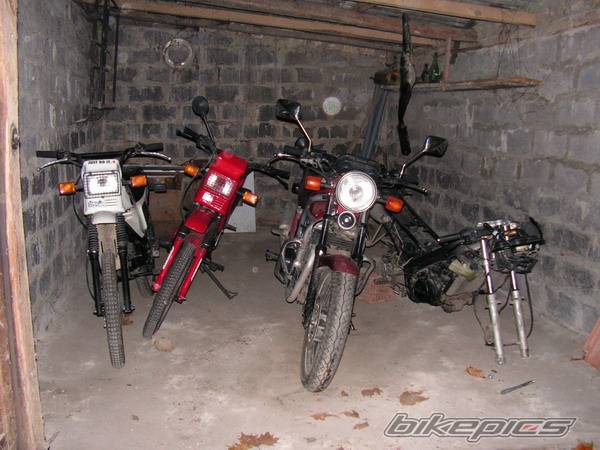 Photo 269306