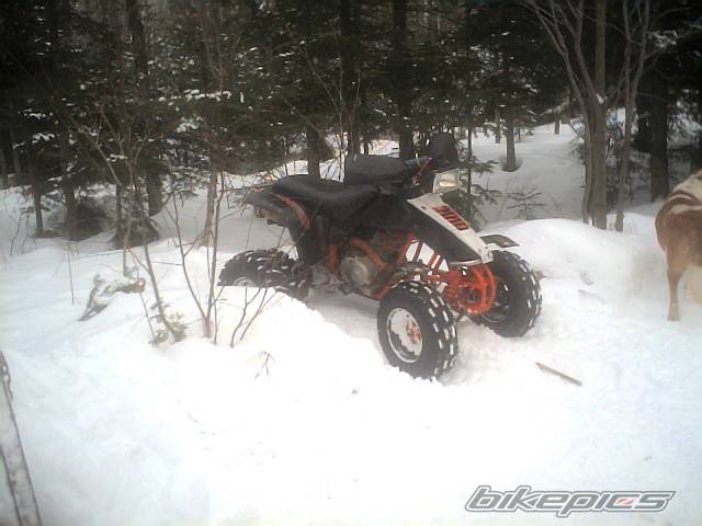 Photo 269307