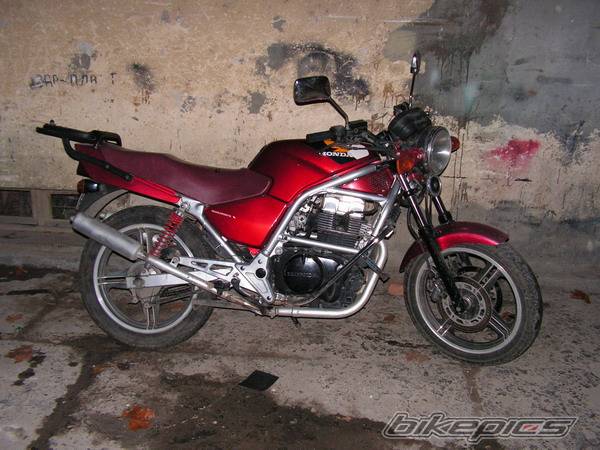 Photo 269315