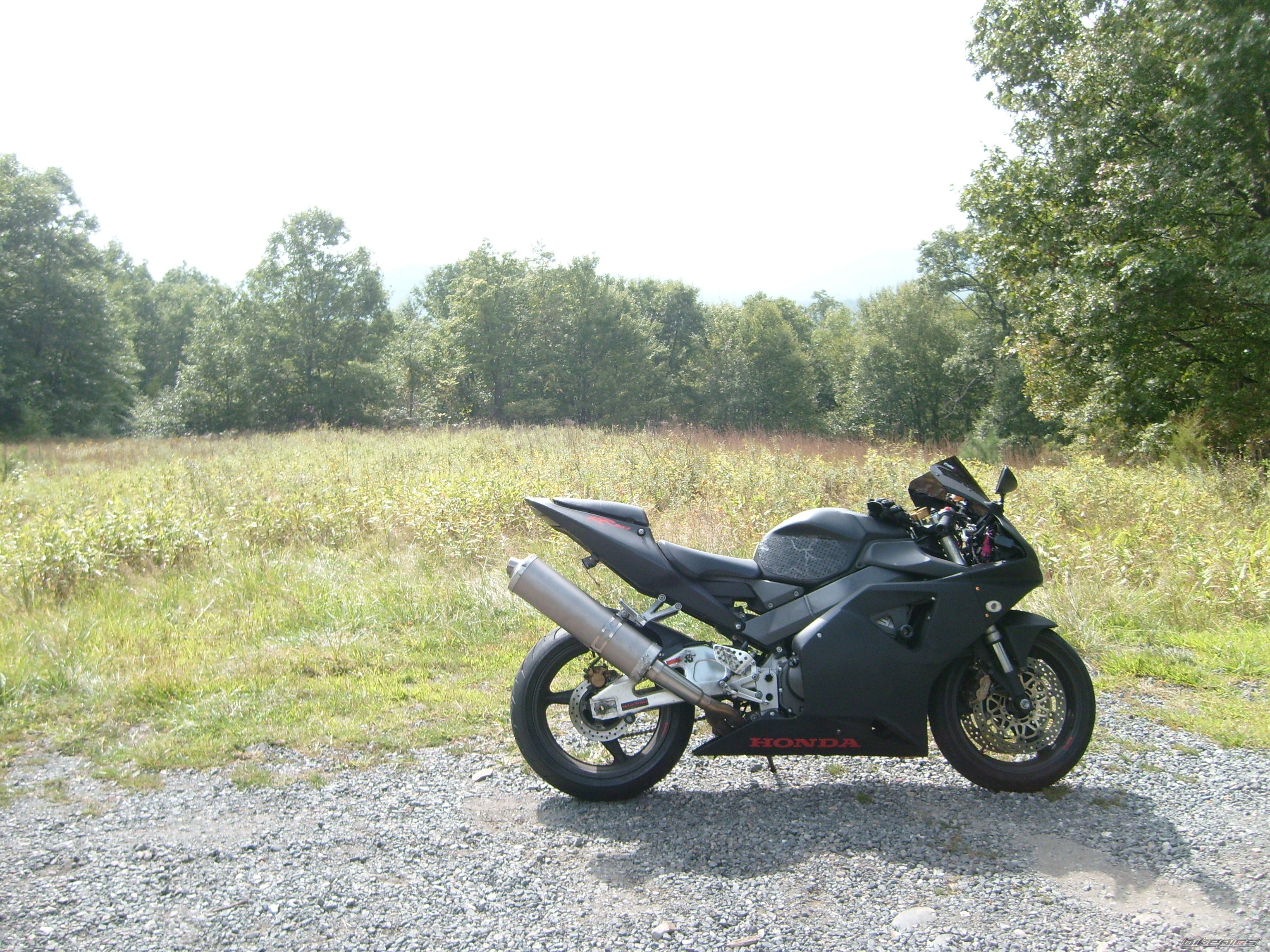 Photo 2693215