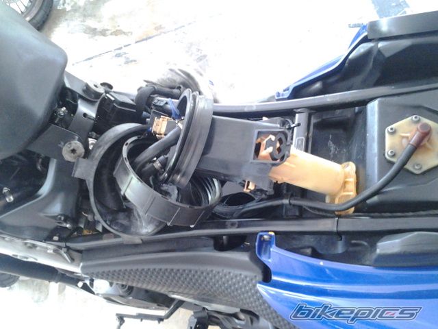 Photo 2693259