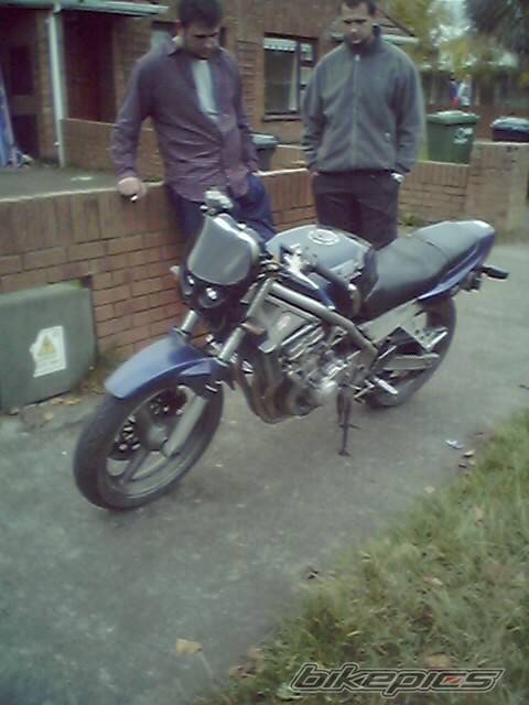Photo 269326