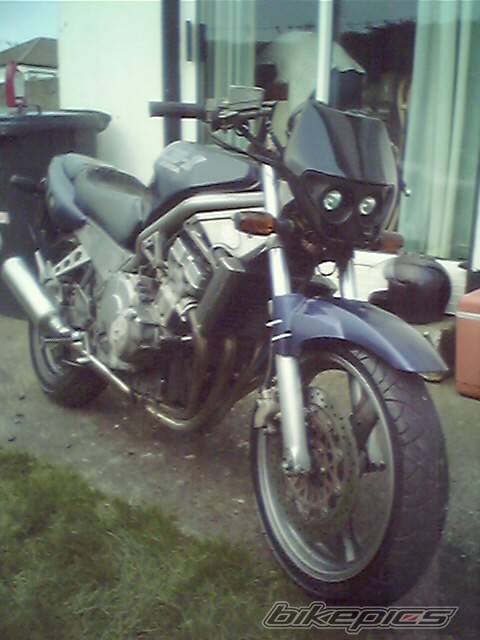 Photo 269328