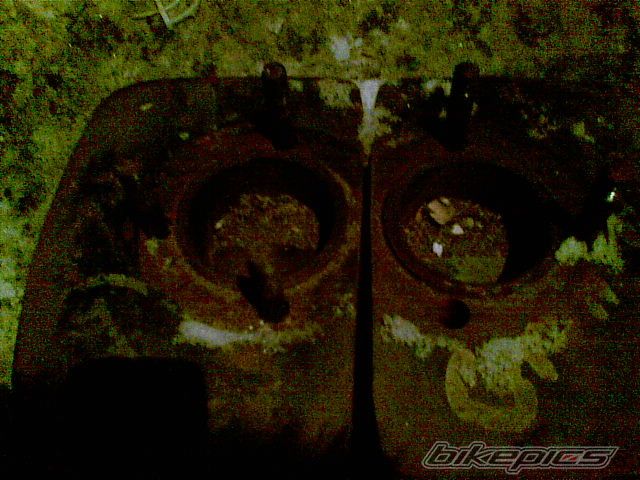 Photo 2693333