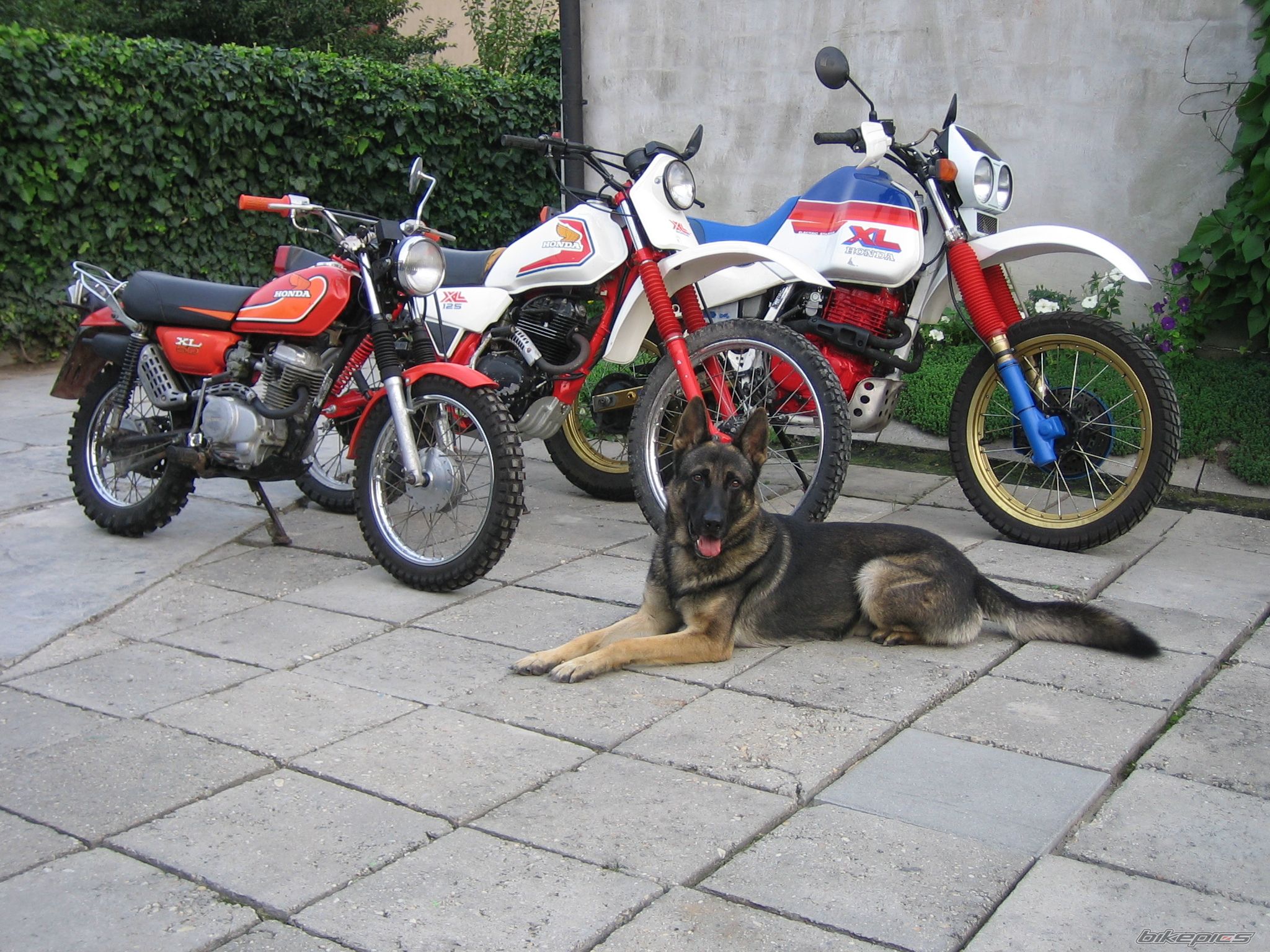 XL 50 E