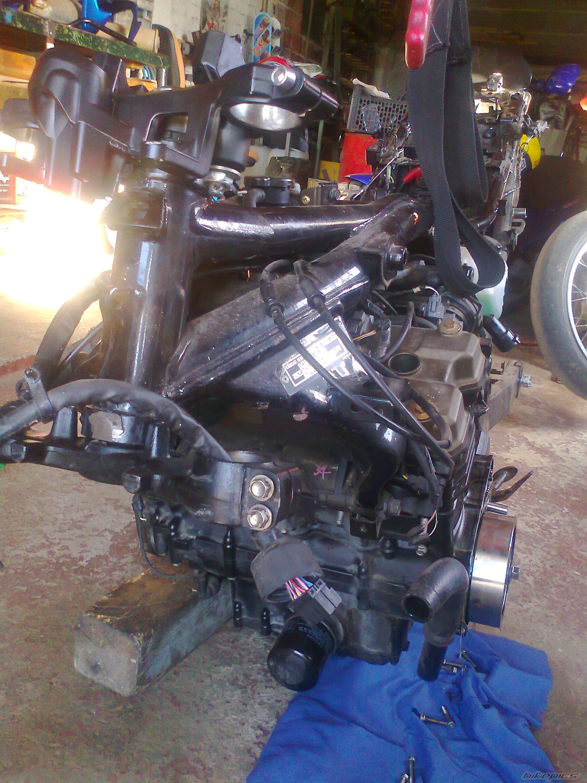 Photo 2693667