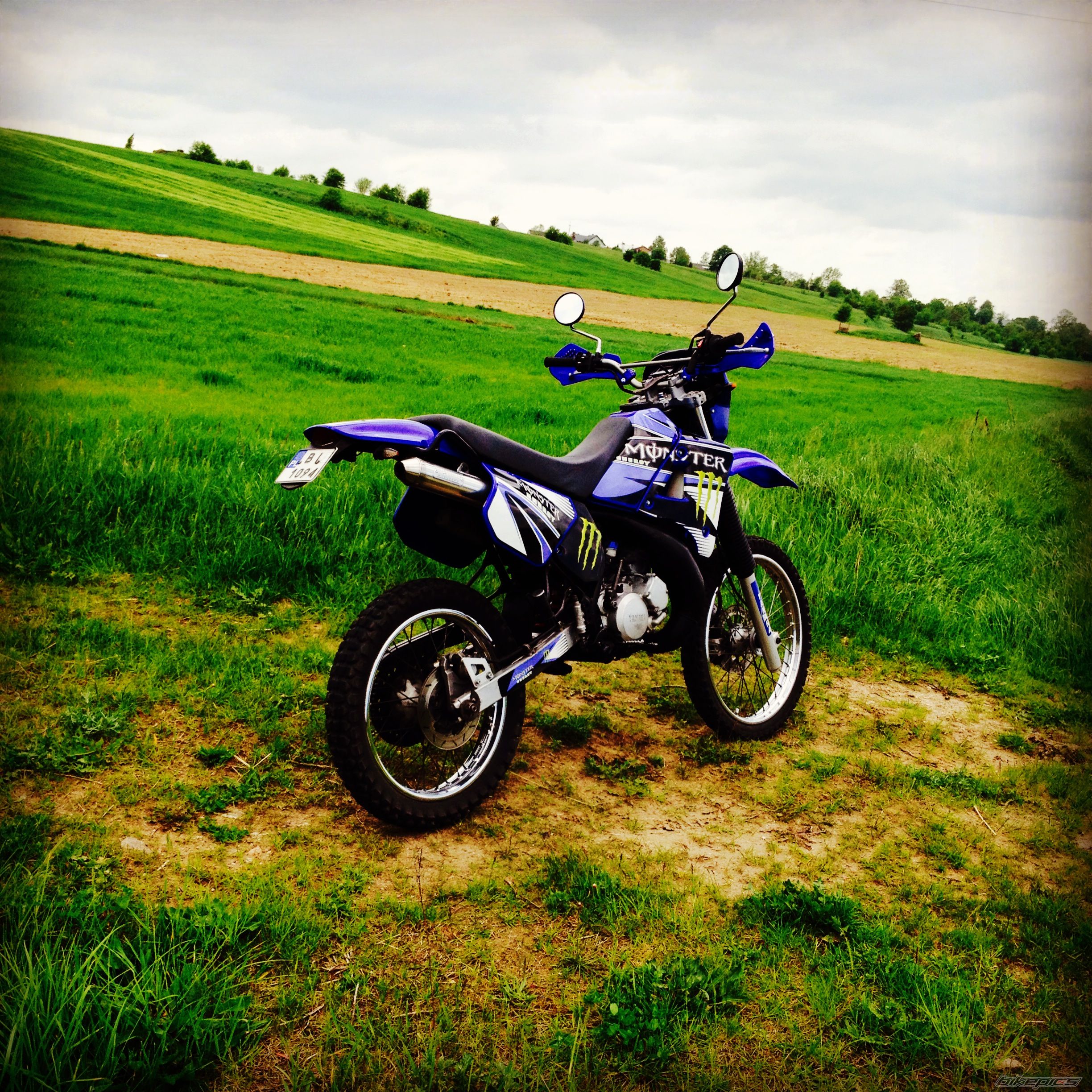Photo 2693717