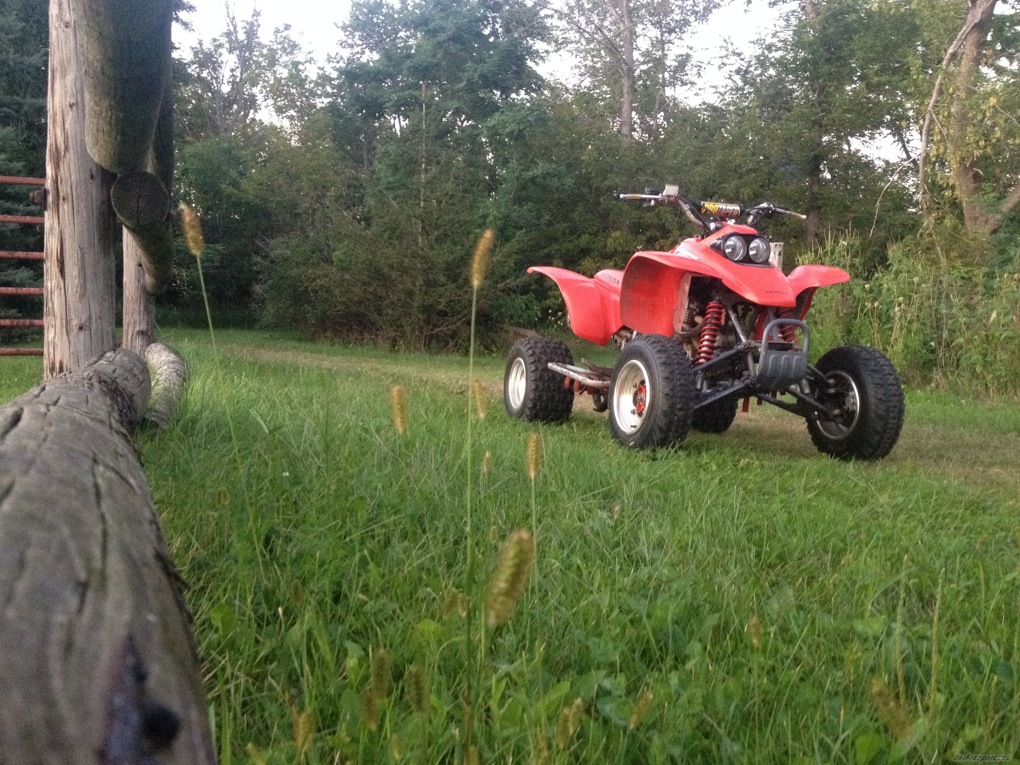 Photo 2693778