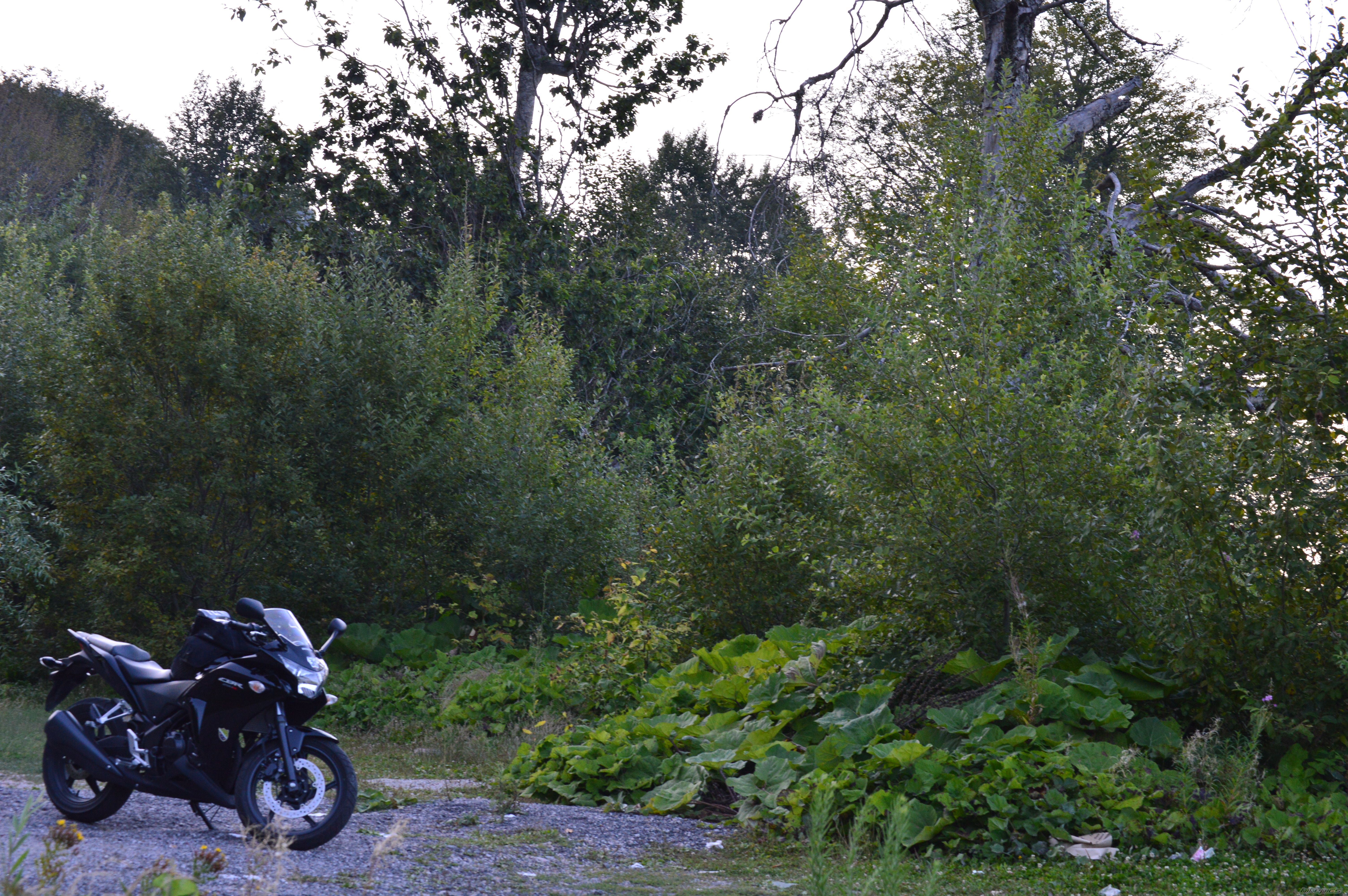 Photo 2693832