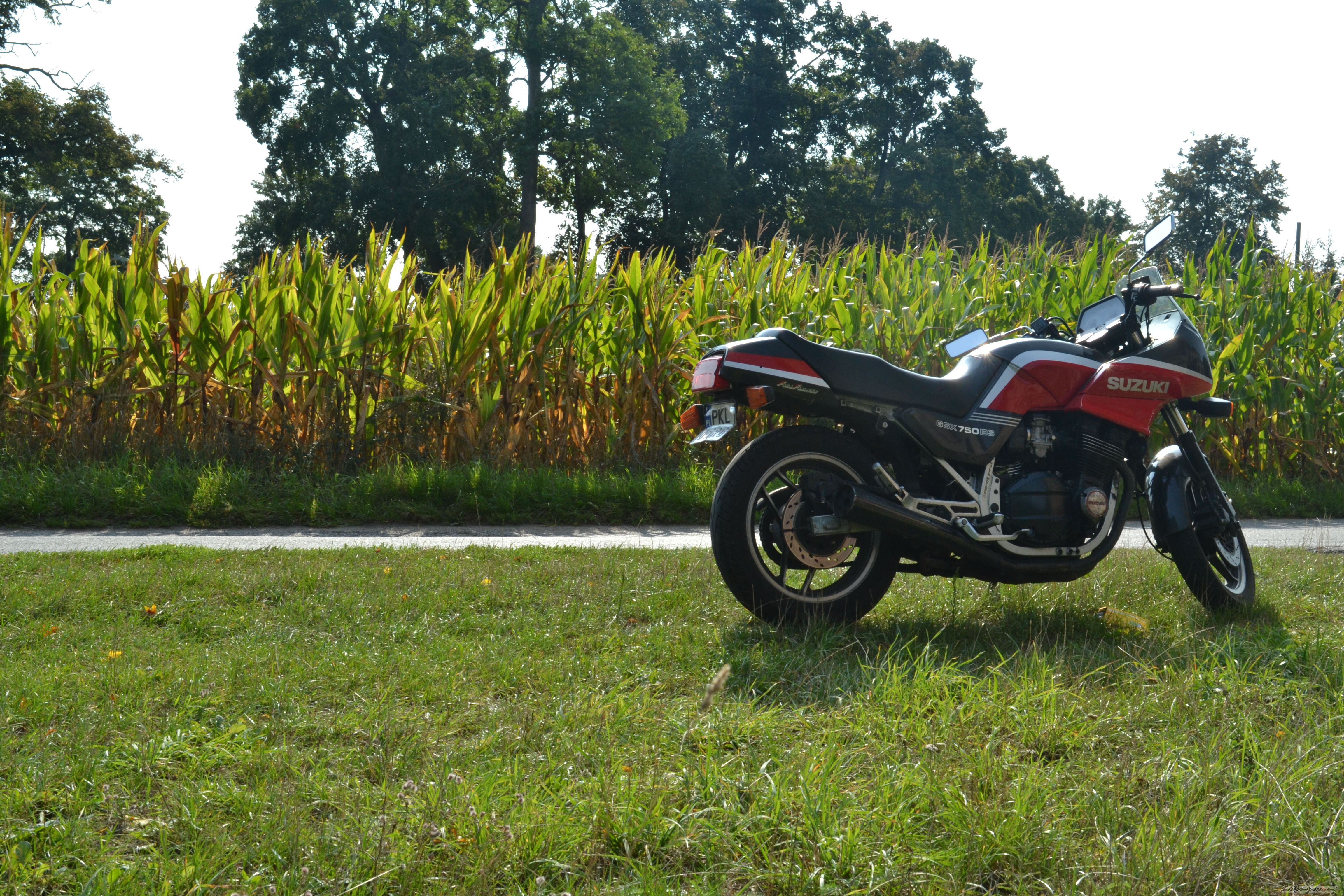 Bike Photo 2693877