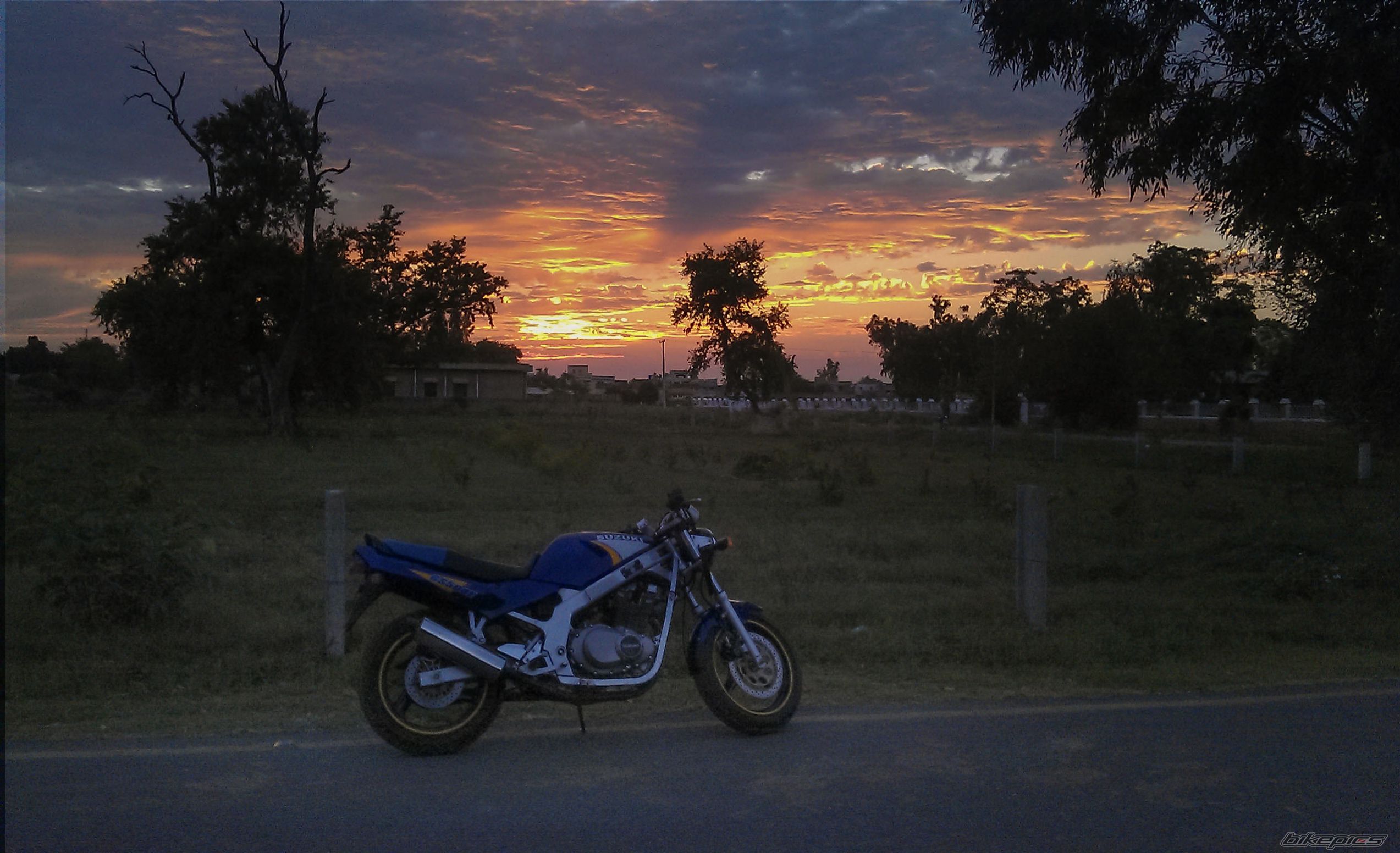 Photo 2693947