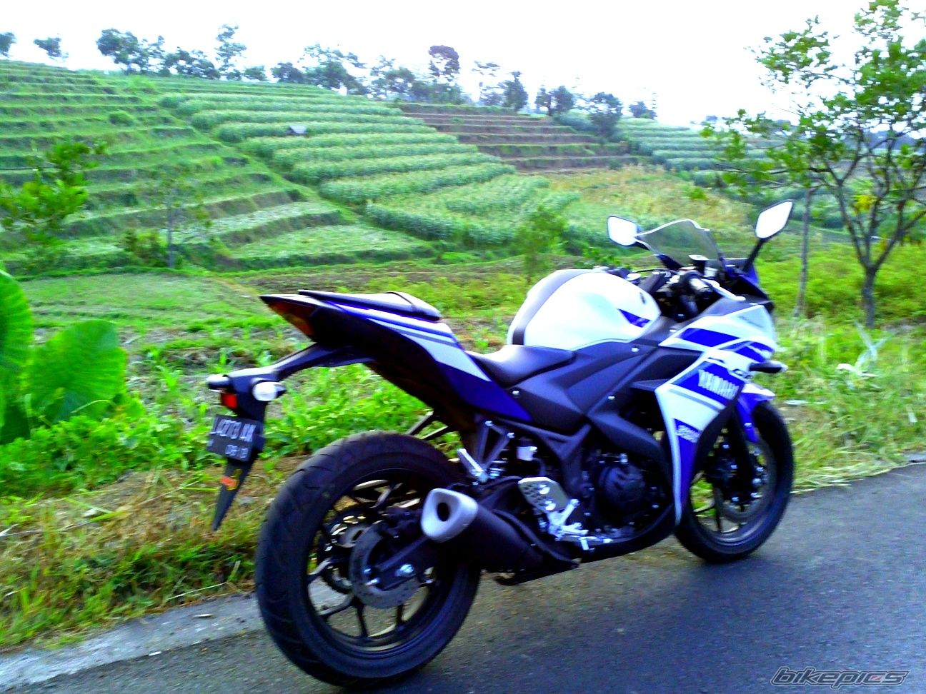 Photo 2693959