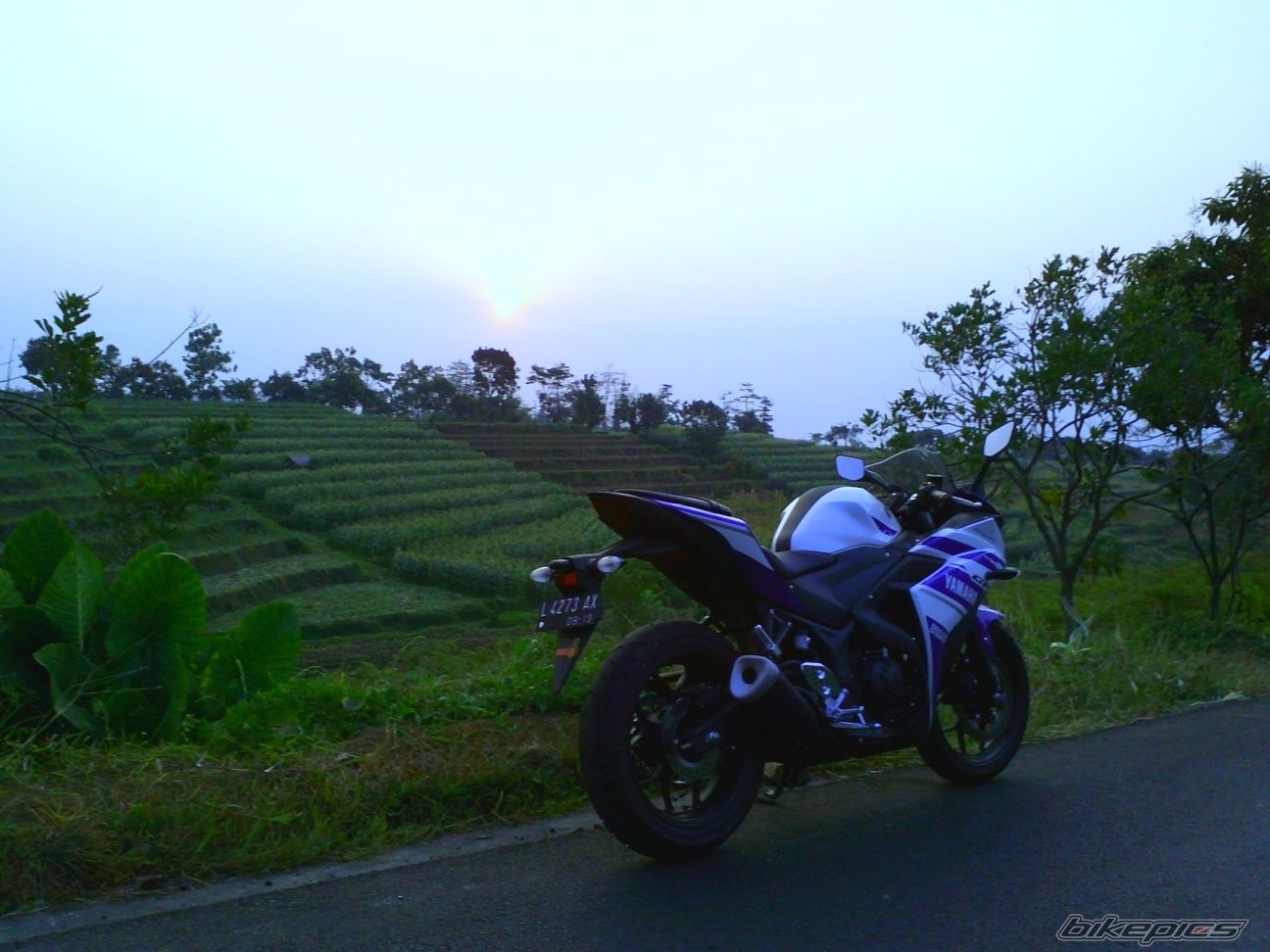 Photo 2693960