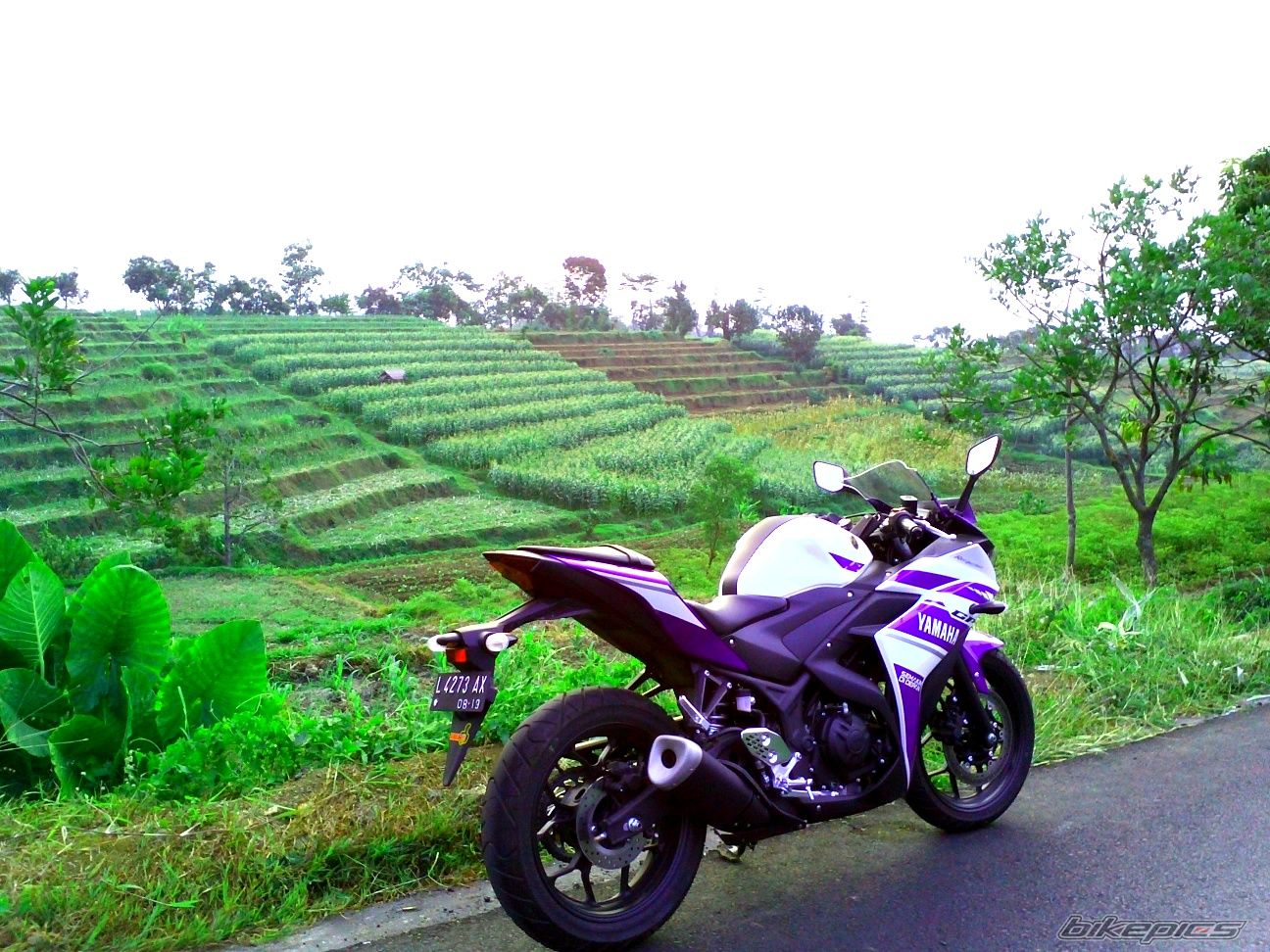 Photo 2693961